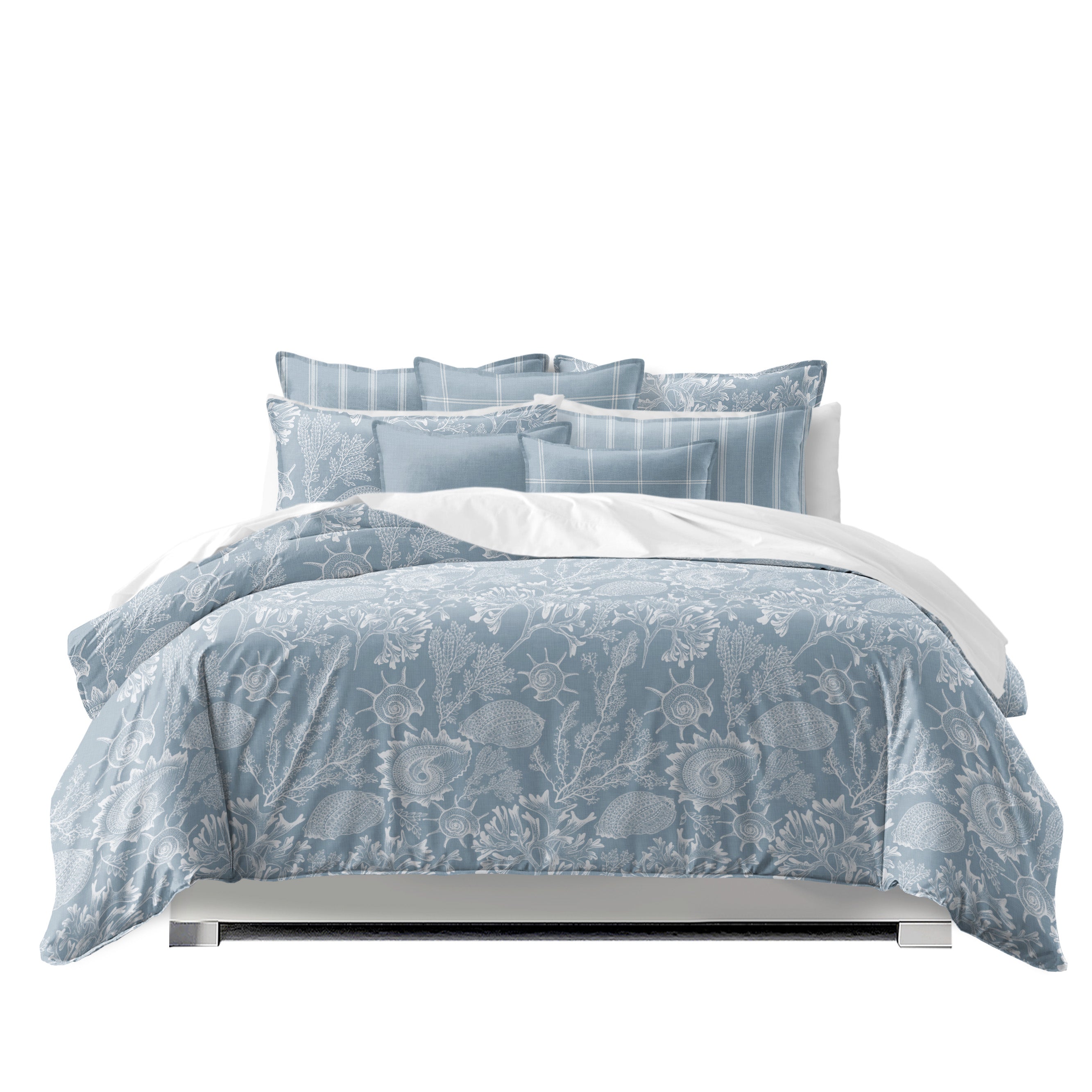 Shellabrate Cornflower Blue - New for 2025 – 6ix Tailors Fine Linens