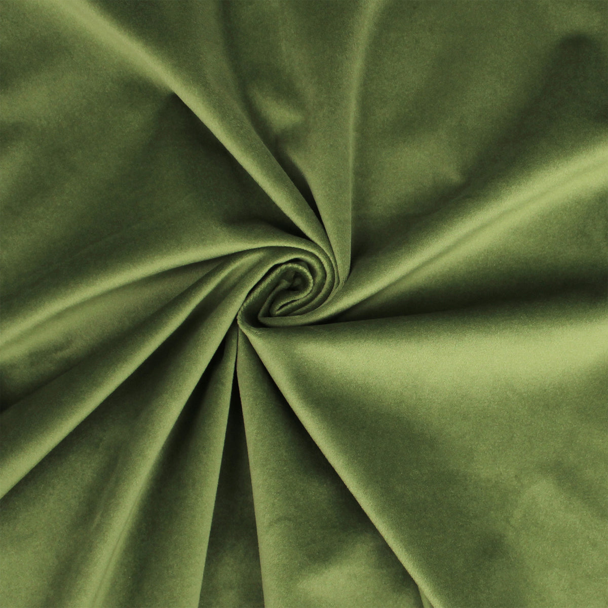 Vanessa Aloe Shams