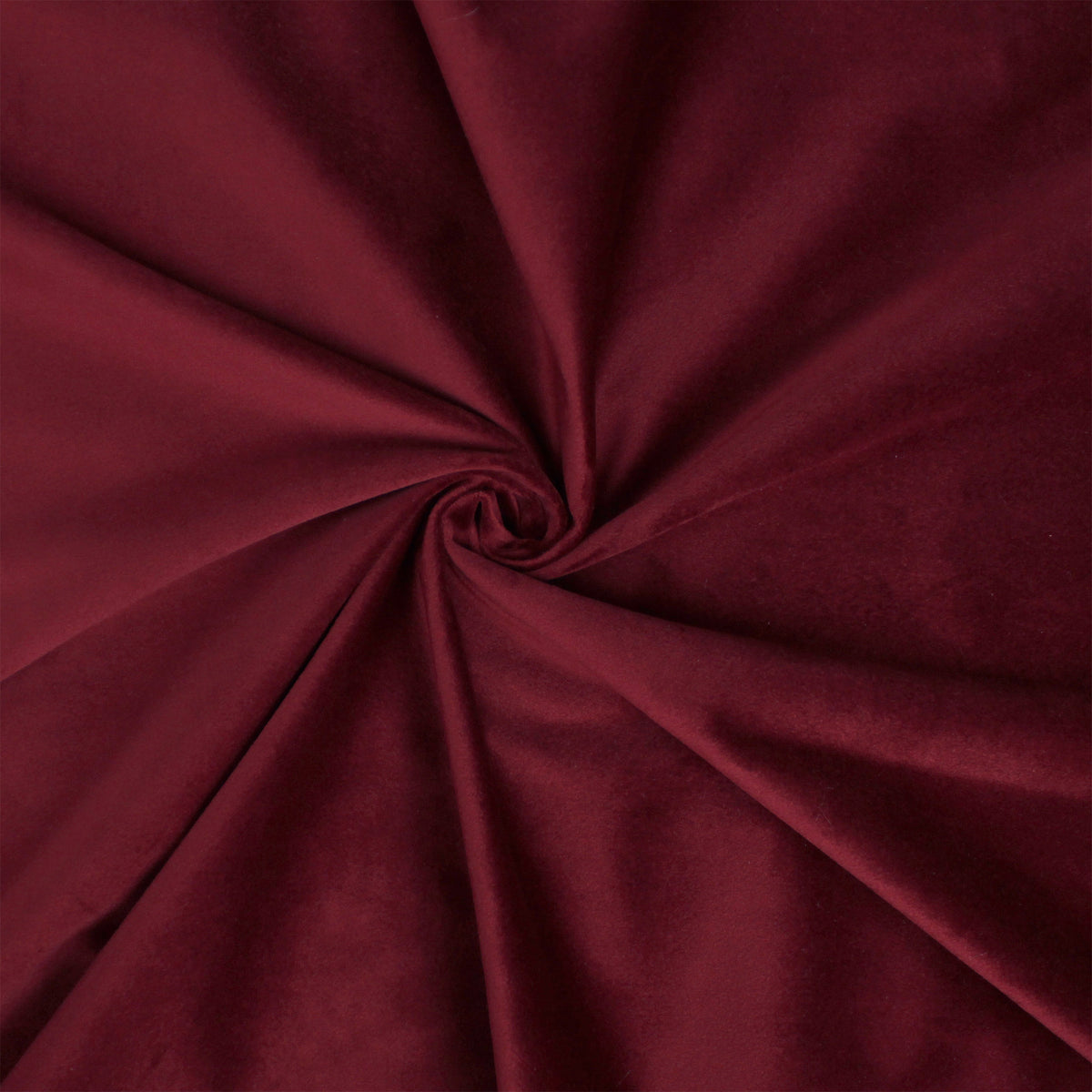 Vanessa Merlot Shams